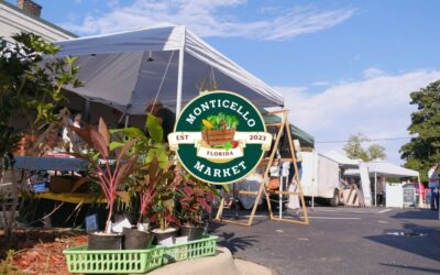 Discovering the Charm of Monticello Market: A Community Hub in Monticello, Florida