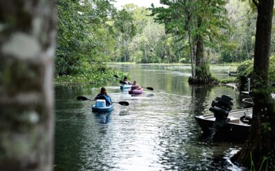 Relax and Explore Wacissa Springs: A Perfect Weekend Getaway